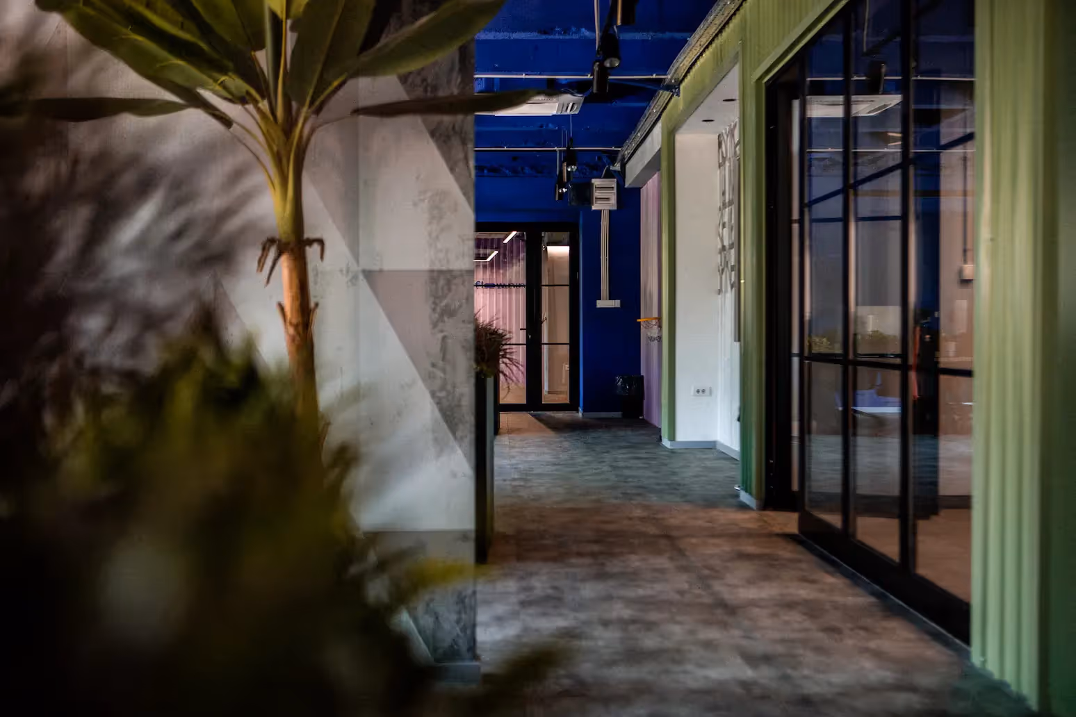 Hodnik sa staklenim pregradama i zelenom oblogom od letvica